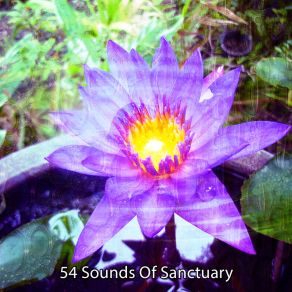 Download track Restoring The Sanity Meditation Awareness