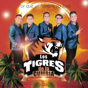 Download track Corazon En Soledad Los Tigres De La Cumbia