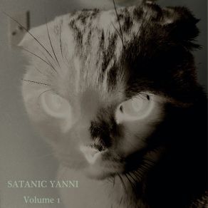 Download track Motivation For The Unmotivated Satanic Yanni