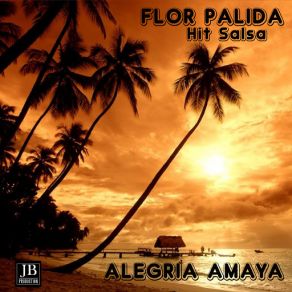 Download track Flor Palida Alegria Amaya