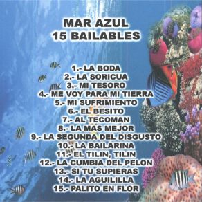 Download track La Cumbia Del Pelon Mar Azul