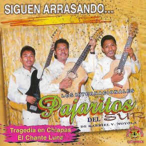 Download track Popurri # 1 Los Pajaritos Del Sur