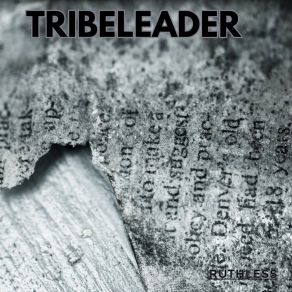 Download track LUZ E PAZ (Instrumental) Tribeleader