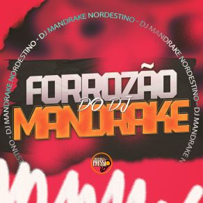 Download track Forrózin Balança DJ Mandrake Nordestino