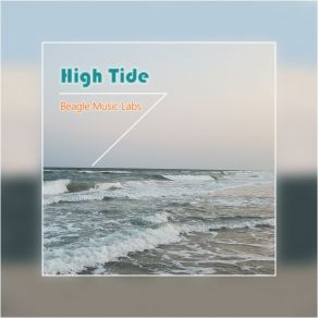 Download track Strange Waters Beagle Music Labs