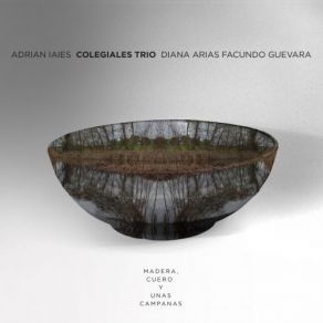 Download track Vida Mía (Hnos Fresedo) Adrian Iaies, Facundo Guevara, Diana Arias