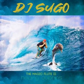 Download track Helping Dolphins I DJ Sugo