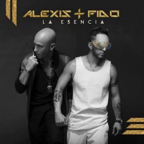 Download track Salvaje Alexis & FidoPlan B