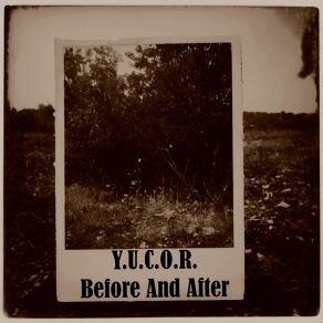 Download track Before And After (Main Theme) Y. U. C. O. R.