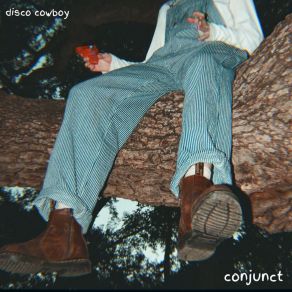 Download track Twice Disco Cowboy