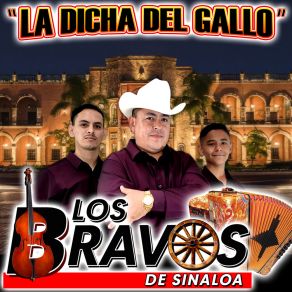 Download track El Cochi Cuino Los Bravos De Sinaloa