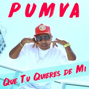 Download track Que Tu Quieres De Mi Pumva