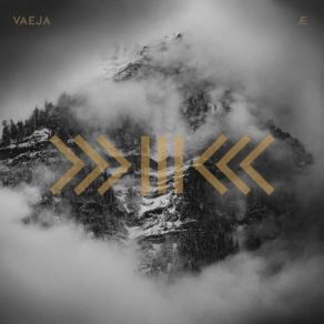 Download track Light Pollution Vaeja