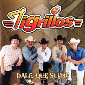 Download track Nochecita Los Tigrillos