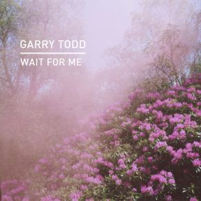 Download track Wait For Me (Zoo Brazil Remix) Garry Todd