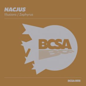 Download track Illusions Nacjus