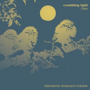 Download track Crumbling Light The Owls