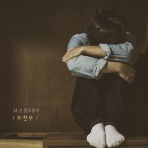 Download track Why Didn't I Know That (Instrumental) Ha Jin Woo