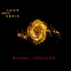 Download track El Viajero Que Se Eleva Banda Tonayán