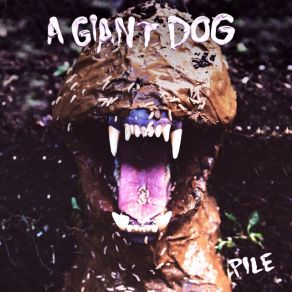 Download track Birthday Song A Giant Dog