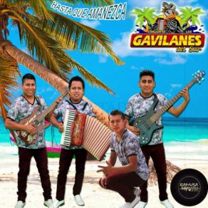 Download track Muñeco De Cuerda (Merequetengue) Conjunto Los Gavilanes Del Sur