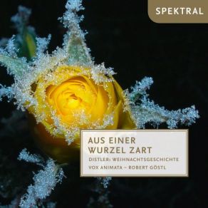 Download track Die Weihnachtsgeschichte, Op. 10: Erzähler - Und Siehe Vox Animata, Robert GöstlGerhard Hölzle