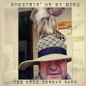 Download track Don't Let This Moment Pass Us By The Mule Newman Band
