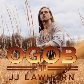 Download track Ain't Seen Mama In A While JJ Lawhorn