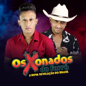 Download track A Dor Um Dia Vai Passar Os Xonados Do Forró