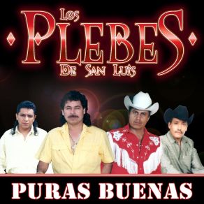 Download track Por Que Se Fue Los Plebes De San LuisEl Fiero, Sus Coyotes Del Bajio