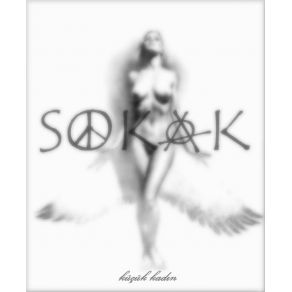 Download track Tuğlanın Gücü Sokak