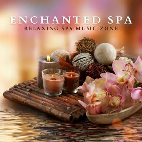 Download track Ambient Awe Relaxing Spa Music Zone