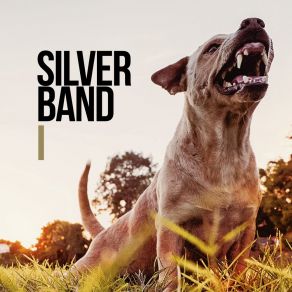 Download track Mais Que Uma Saída Silverband