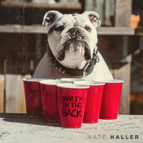 Download track Ain't Like Me Nate Haller