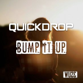 Download track Bump It Up (Radio Edit) Quickdrop