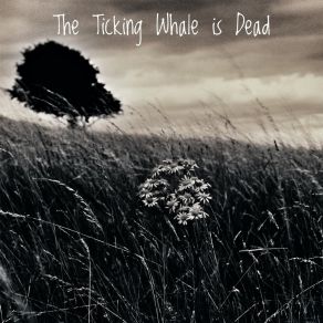 Download track Stones In My Pockets The Ticking Whale