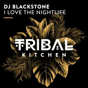 Download track I Love The Nightlife DJ Blackstone