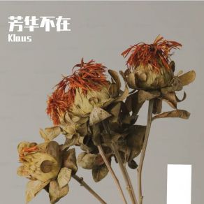 Download track 回到从前 Klaus