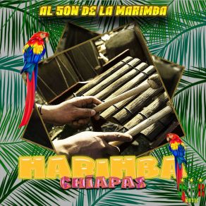 Download track La Mujer Del Pelotero Grandes MarimbasMarimba Chiapas