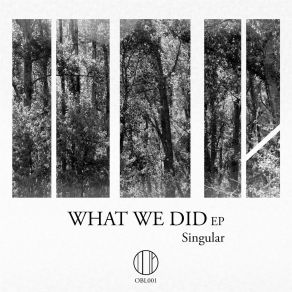 Download track What We Did (Original Mix) Singular (Esp)