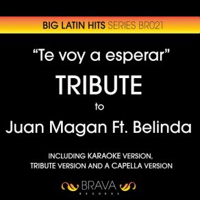 Download track Te Voy A Esperar (A Cappella Version) [Originally Performed By Juan Magan And Belinda] Brava HitMakersBelinda