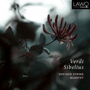 Download track String Quartet, Op. 56 Voces Intimae III. Adagio Di Molto Vertavo Quartet