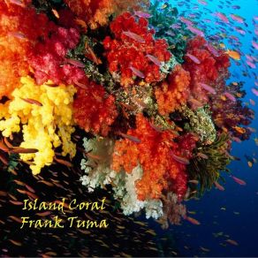 Download track Happy Dancing Frank Tuma