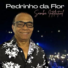 Download track Quantos Morros Pedrinho Da FlorMauro Diniz