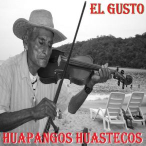 Download track Actos De Un Tonto Huapangos Huastecos