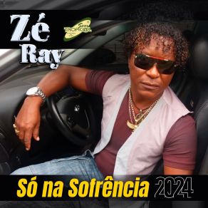 Download track Amor Demais Zé Ray