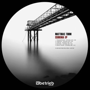 Download track Neowise Matthias Torm