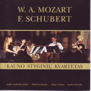 Download track Franz Schubert – String Quartet No. 13 In A Minor, Rosamunde D. 804, Op. 29 II Andante Kaunas String Quartet