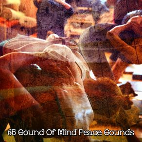 Download track The Flame Inside White Noise Meditation