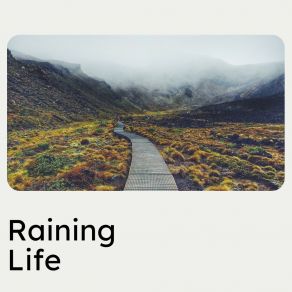 Download track Gentle And Soothing Rain, Pt. 6 Rain FX